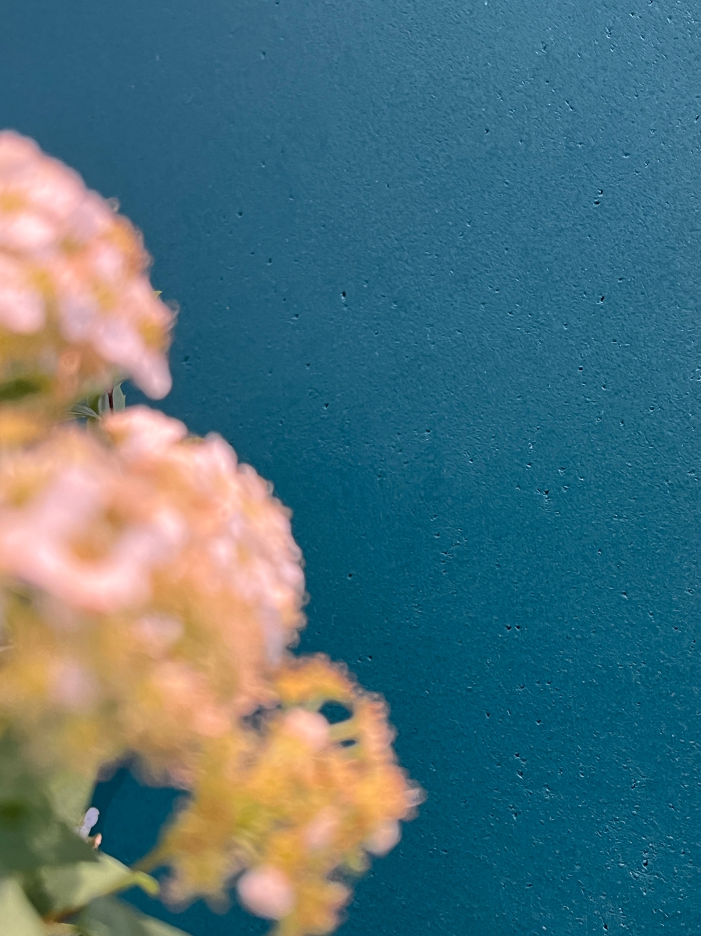 662f52331da2e.png